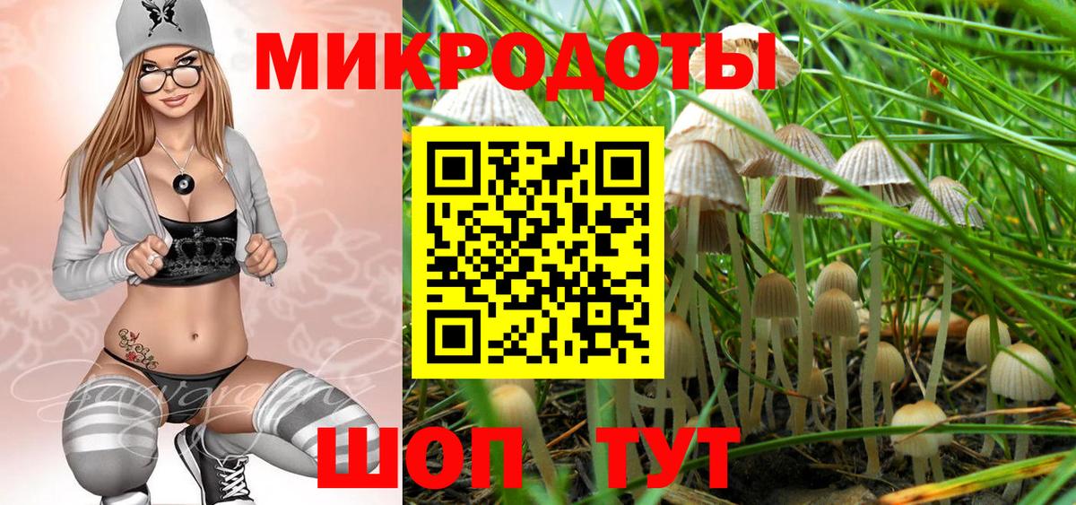 Галлюциногенные грибы мицелий  Псилоцибиновые грибы Cubensis  Вход с VPN  Тайшет 