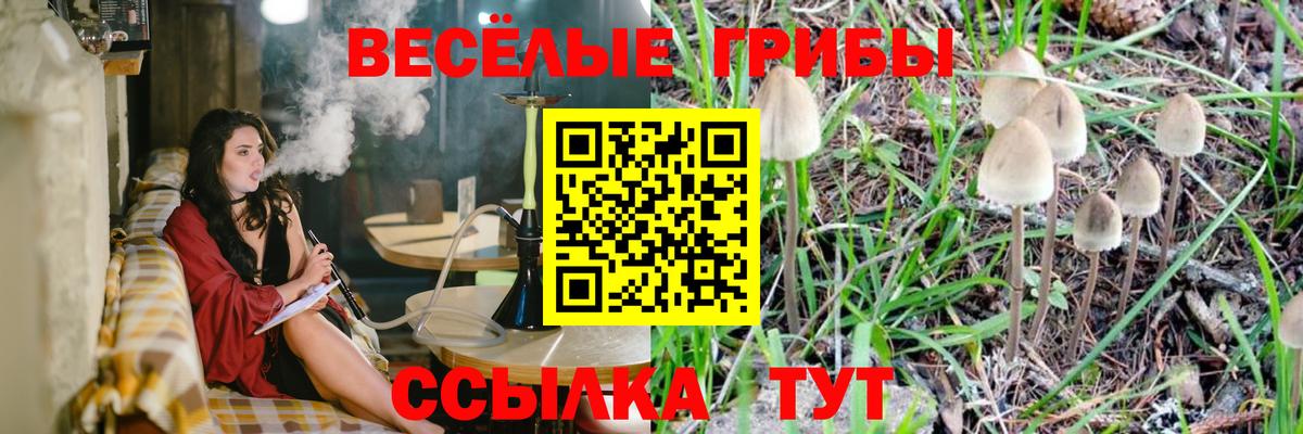 Галлюциногенные грибы мухоморы Тайшет